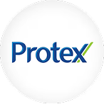 Protex Sitio Web Guatemala