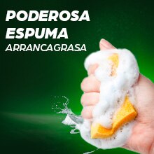Axion Limon
